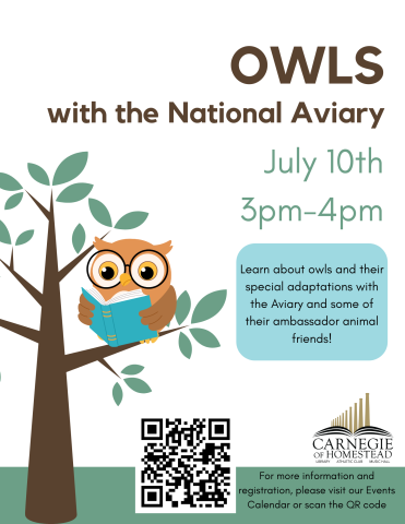 owls with the national aviary july 10 at 3pm