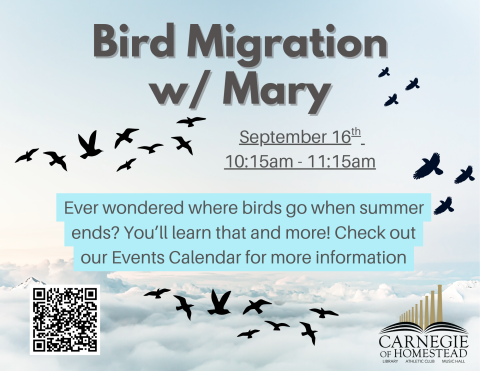 bird migration with Mary september 16th at 10:15 am