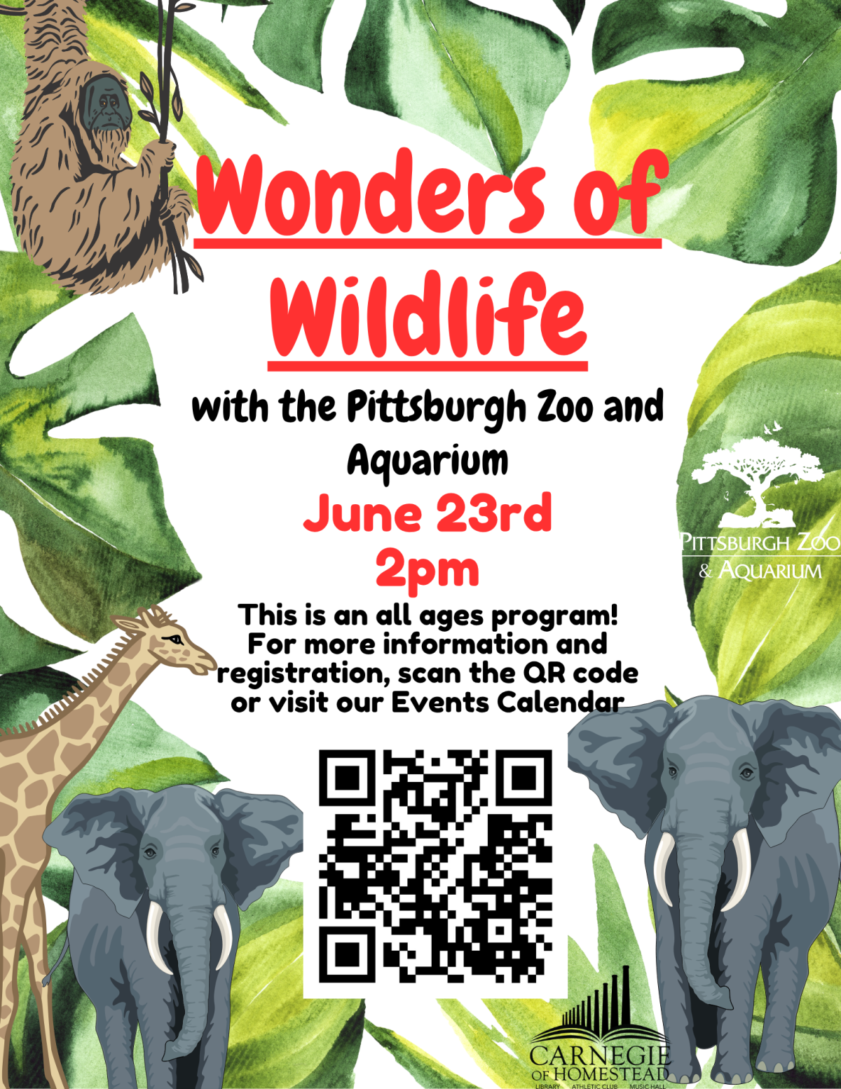 wonders of wildlife with the pittsburgh zoo june 23rd at 2pm