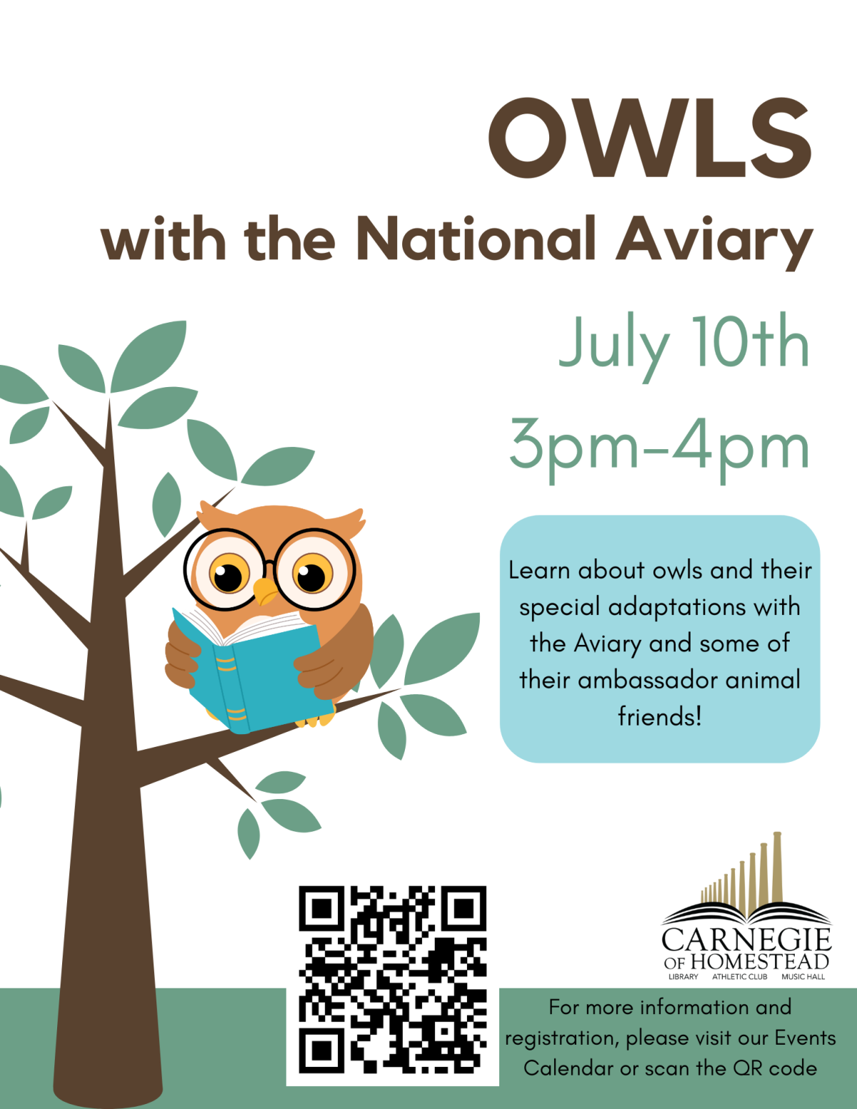 owls with the national aviary july 10 at 3pm